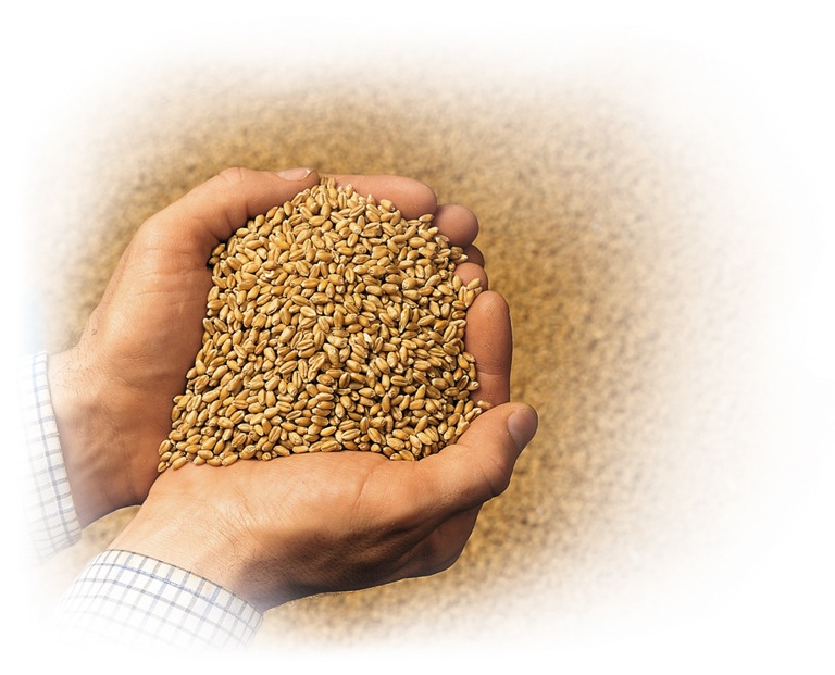 AF 6140 Качество продукции1.jpg