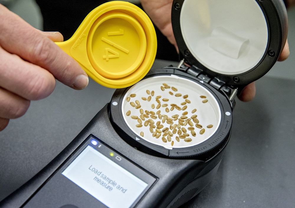 04.15 Grainsense_2.jpg