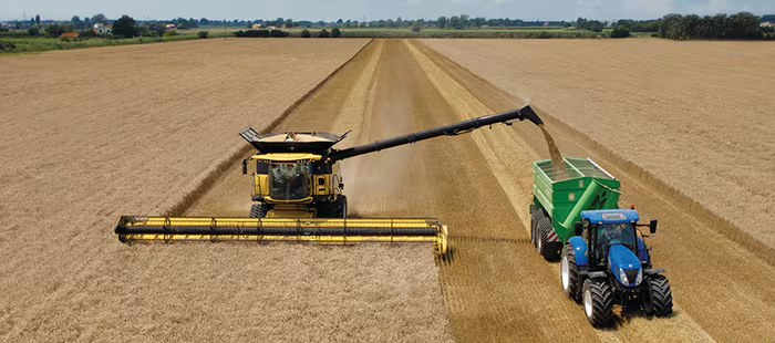 cr-grain-handling-and-storage-01.jpg cr-grain-handling-and-storage-01.jpg