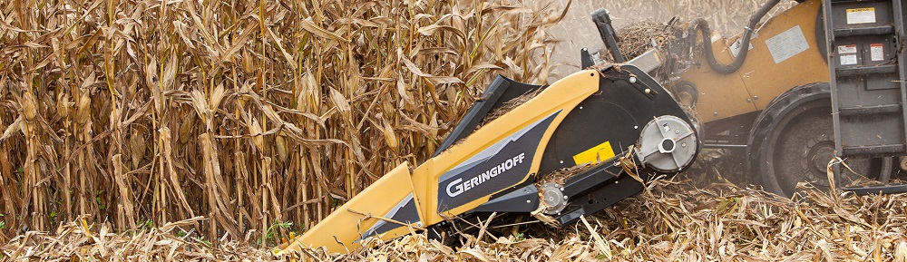 MaisStarHorizon (1).jpg MaisStarHorizon (1).jpg