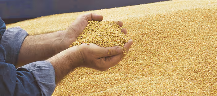 cr-cleaning-07b.jpg cr-cleaning-07b.jpg