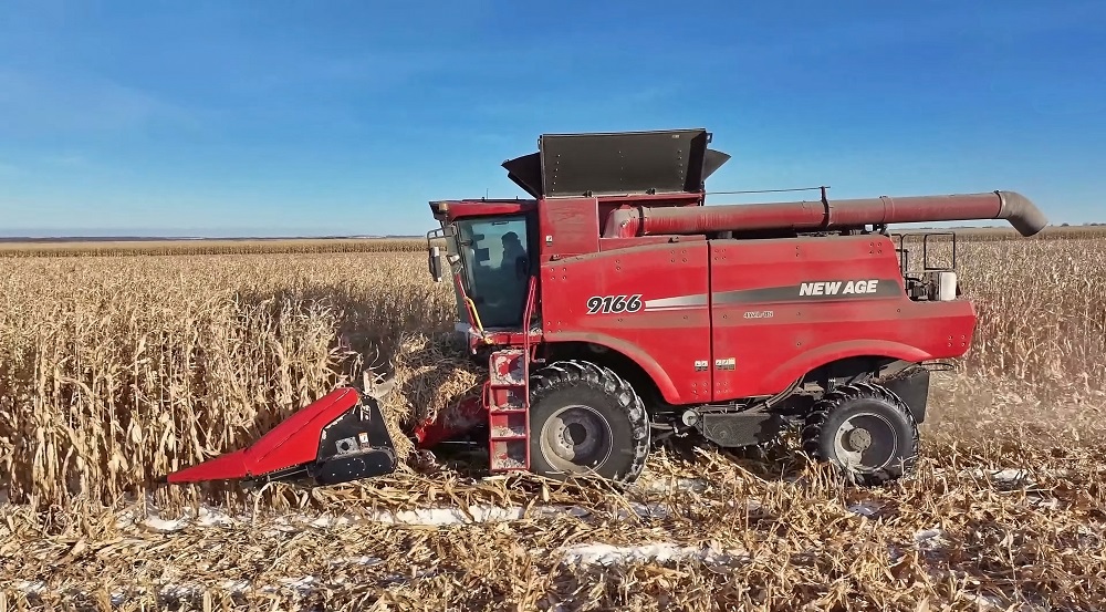 NEW AGE 9166 corn_1.jpg