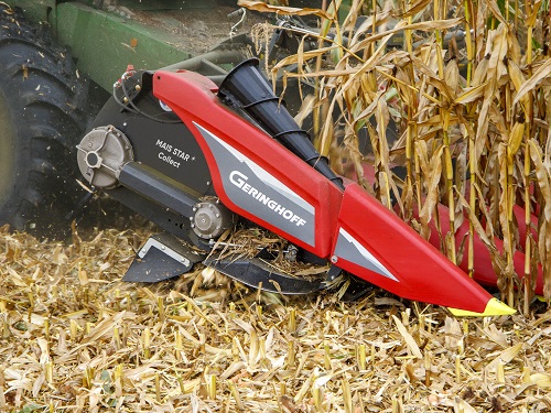 Mais Star Collet 3.jpg