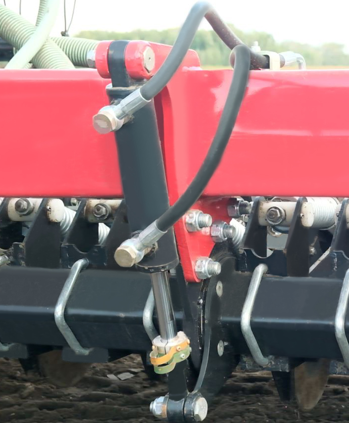 SDgidrocelind (1).jpg